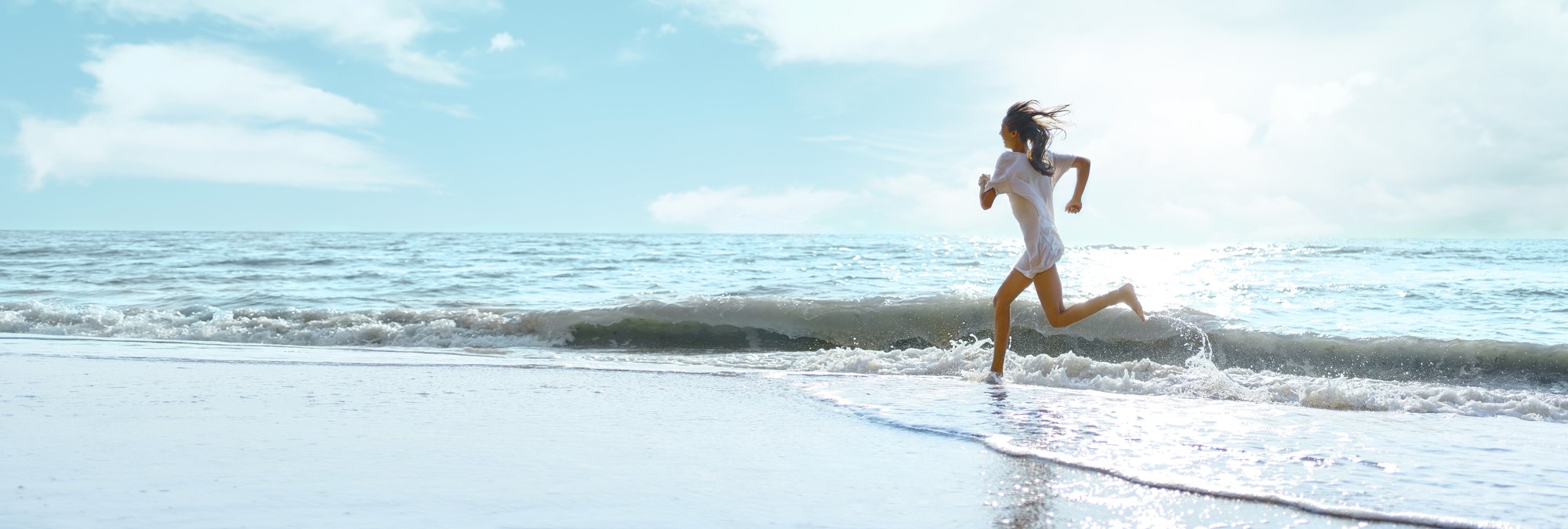 The Wheel of Life: A Blueprint for Balance and Growth